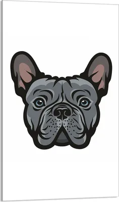 Produktbild von Herdabdeckplatte 30x52 Glaskeramikkochfeld Abdeckung Spritzschutz Glasplatte Deko Schneidebrett, Hund Grau