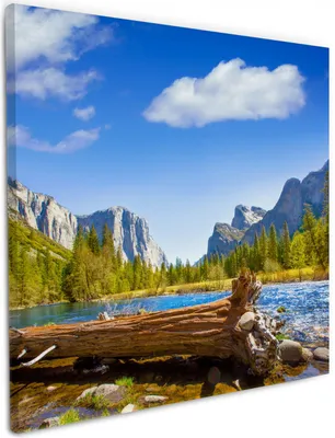 Produktbild von Wallario Premium Leinwandbild Baumstamm im Fluss zwischen Bergen und Wäldern in Größe 50 x 50 cm