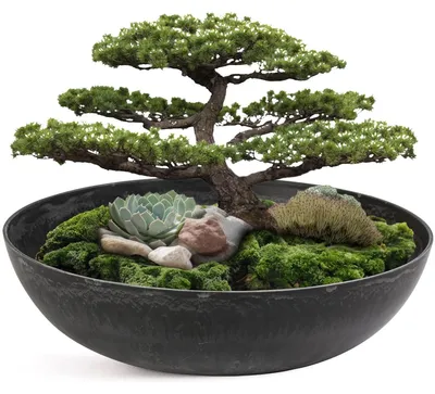 Image de Jardinière pour l'extérieur Jardinière décorative ronde noire marbrée 45 cm