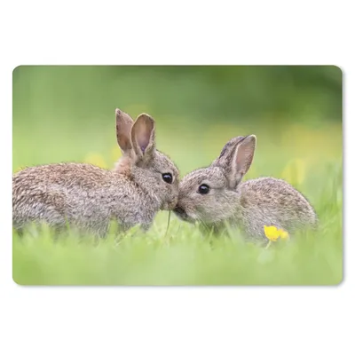 Produktbild von MuchoWow® Schreibtischunterlage Kaninchen - Baby - Gras 60x40 cm - XXL Mauspad - Großes Mauspad