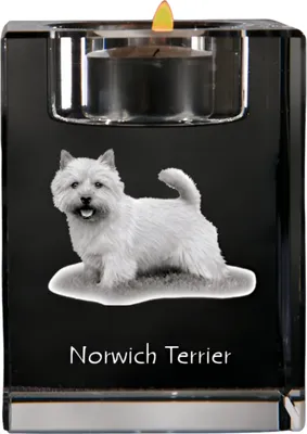 Produktbild von Norwich Terrier - Kerzenhalter mit Hundefoto, Teelichthalter aus Kristall, personalisiertes Geschenk der Marke Art-Dog