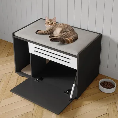 Image de Armoire pour litière et table d'appoint 2-en-1 - Meuble pour chat - Litière dissimulée - Sécurisée pour les chiens - Pour l'intérieur - Bois - Noir