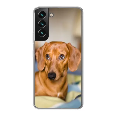 Produktbild von MuchoWow® Handyhülle Schutzhülle Hülle für Samsung Galaxy S22 Plus Dackel liegend auf einem Bett Silikon Softcase Handy Hülle - Schutzabdeckung