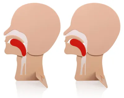 2er-Pack Reanimationskopfmodell für Erste-Hilfe-Training
