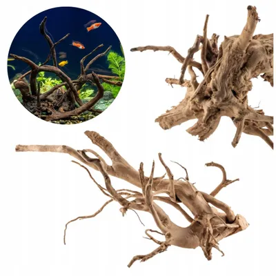 Zdjęcie produktu dla Dekoracja akwariowa – korzeń, Red Moor, rozgałęziony, 40 cm