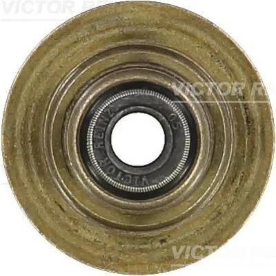 Produktbild von REINZ Ventilschaftdichtung Ventilschaftdichtung 70-35547-00 für FORD Fiesta Mk5 Schrägheck (JH1, JD1, JH3, JD3)