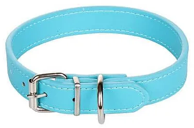 Obrázek produktu pro Dog Leash obojek pro psy modrá rozměr M