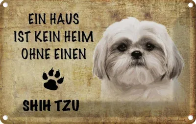 Produktbild von vianmo Blechschild 12x18 cm Shih Tzu Hund Tier Haustier