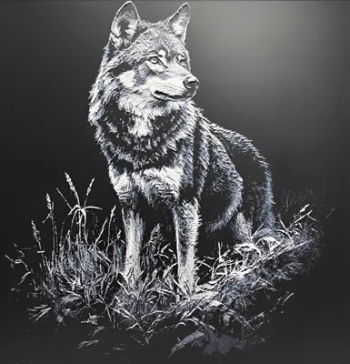Produktbild von Wolf – Groß 25x25cm