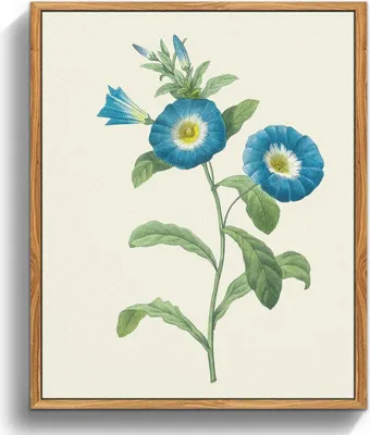 Obrázok produktu pre Hmyz Plátno Obrázky Vintage Drevený rám 30x40cm Nástenná dekorácia Obývacia izba Spálňa Kancelária Estetické ilustrácie