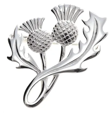 Produktbild von Sterling-Silber-Brosche mit schottischem Distelmotiv