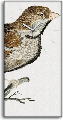 Produktbild von Dekor Leinwand Uhr Wandbilder Geräuschlos 30x60 Zeichnung Tier Vogel Zweig Kunst - weiße Hände