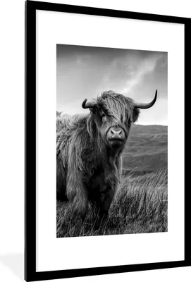 Produktbild von MuchoWow® Gerahmtes Poster Schottischer Highlander - Berg - Wasser - Natur - Kuh 60x90 cm - Poster mit Schwarzem Bilderrahmen Wandposter Rahmen Foto Bilder - Dekoration - Wandposter Wohnzimmer - Hochwertig