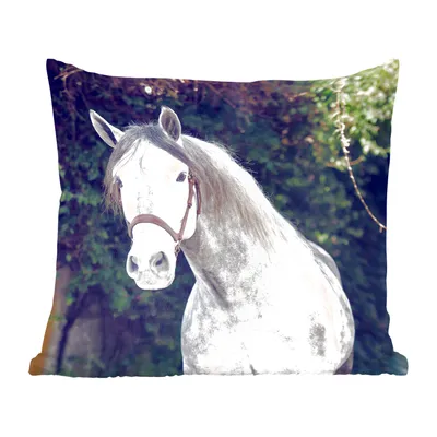 Produktbild von MuchoWow® Zierkissen Sofakissen Wohnzimmer Dekokissen 60x60 cm Pferd - Halfter - Natur - Sitzfläche - Foto Polster