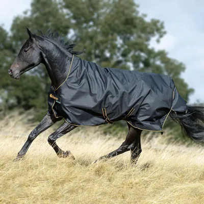 Obrázok produktu pre Bucas Irish Turnout Light 50g High Neck 1200D - black/gold