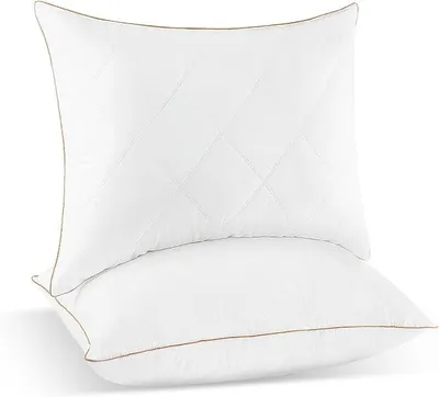 Imagen del producto de Almohadas de plumas de ganso, 80x80 cm, juego de 2 unidades