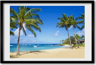 Produktbild von Bild 60x40 MDF-Rahmen, Wandkunst Tropischer Strand