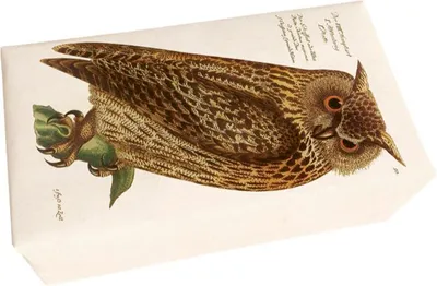Produktbild von Geschenkseife "Waldtiere", Eule, 200 g