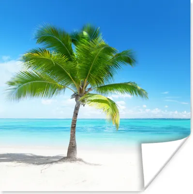 Produktbild von MuchoWow® Poster Palme - Strand - Meer - Sommer 75x75 cm - Wand Dekoration
