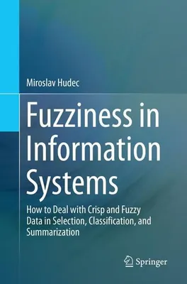 Obrázek produktu pro Nejasnosti v informačních systémech