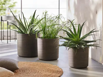 Produktbild von 3x Übertopf "Re-Cycle" in grau braun aus tlw. recyceltem Kunststoff, Pflanztopf Set, Blumentopf, Blumenübertopf, Pflanzgefäß