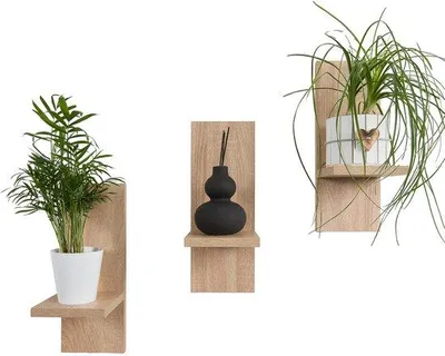 Immagine prodotto di Set di mensole da parete in legno per piante e decorazioni (3 pezzi, rovere Sonoma)