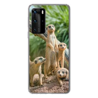 Produktbild von MuchoWow® Handyhülle Schutzhülle Hülle für Huawei P40 Pro Familie - Tiere - Erdmännchen Silikon Softcase Handy Hülle - Schutz