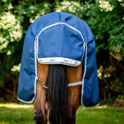 Produktbild von Horseware Amigo Bravo 12 Wug Turnout 250g Medium Storm Green / Aqua & Turquoise , Horseware Deckengröße:130 cm / 6´0