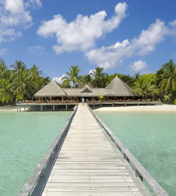 Produktbild von Fototapete - Jetty 225x250cm - Vliestapete