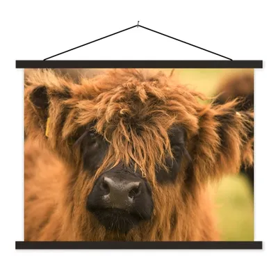 Produktbild von MuchoWow® Textilposter Schottischer Highlander - Braun - Schwarz 40x30 cm mit schwarzem Rahmen - Dekorationen