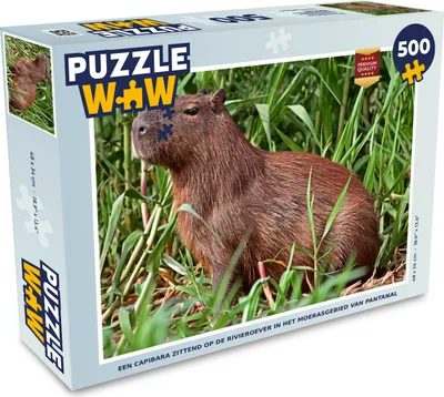 Obrázek produktu pro MuchoWow MuchoWow® Puzzle 500 ks Kapybara sedící na břehu řeky v mokřadech Pantanalu