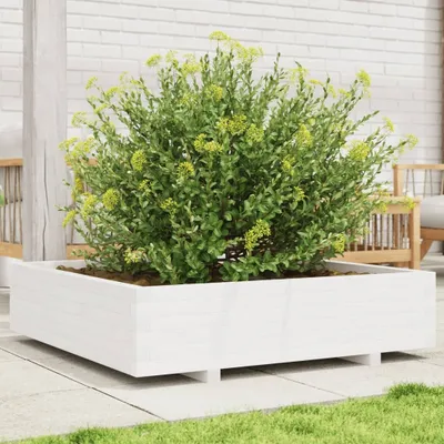 Image de Maison Exclusive - Bac à plantes blanc 100x100x26,5 cm Bois massif Pin