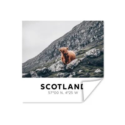 Produktbild von MuchoWow® Poster Schottland - Highlander - Berge 75x75 cm - Wand Dekoration