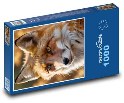 Obrázek produktu pro martinpuzzle - Puzzle 1000 - Liška - lesní zvíře