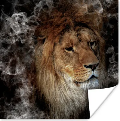 Produktbild von MuchoWow® Poster Löwe - Rauch - Tiere 100x100 cm - Babyzimmer
