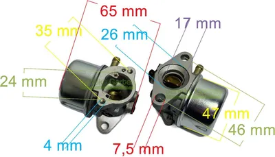 Immagine prodotto di Vergaser für Briggs & Stratton 497314 497347 497586 498170 498254 799868 799872