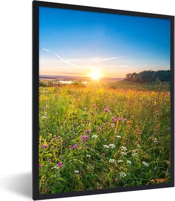 Produktbild von MuchoWow® Gerahmtes Poster Sonne - Gras - Blumen 60x80 cm - Poster mit Schwarzem Bilderrahmen Wandposter Rahmen Foto Bilder - Premium - Wanddeko Wohnzimmer