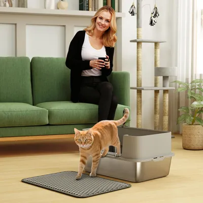 Produktbild von SUGIFT offene Katzenklo hoher Rand, Katzentoilette Edelstahl, mit Schaufel & Matte, Grau | 2,3 kg | bis 7 kg | 60,2 x 40,2 x 29,5 cm
