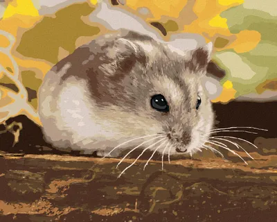 Obrázok produktu pre Zuty - Maľovanie podľa čísel - MALÝ ŠKREČOK, 40x50 cm, bez rámu a bez vypnutia plátna