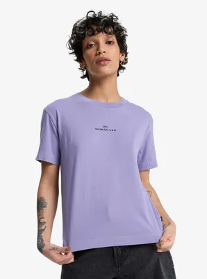 Produktbild von Quiksilver Standard SS Tee Daybreak M