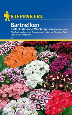 Produktbild von Bartnelken einfachblühende Mischung