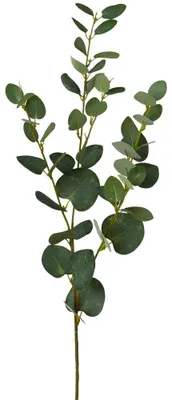 Immagine prodotto di Ramoscello di eucalipto, pianta artificiale, rametto decorativo, decorazione naturale, 1 pezzo, lunghezza 79 cm, verde