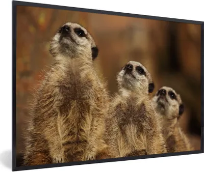 Produktbild von MuchoWow® Gerahmtes Poster Sonne - Erdmännchen - Familie 30x20 cm - Poster mit Schwarzem Bilderrahmen Wandposter Rahmen Foto Bilder - Kunstdruck - Bild-Poster