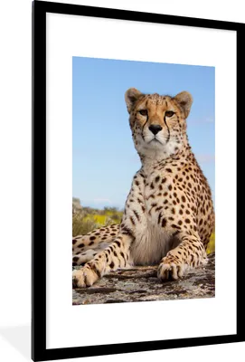 Produktbild von MuchoWow® Gerahmtes Poster Leopard - Tiere - Natur 60x90 cm - Poster mit Schwarzem Bilderrahmen Wandposter Rahmen Foto Bilder - Dekoration - Wandposter Wohnzimmer - Hochwertig