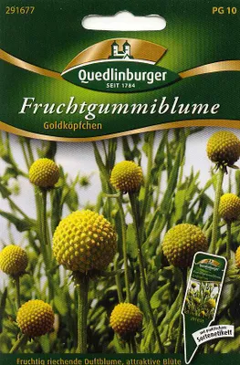 Produktbild von Fruchtgummiblume