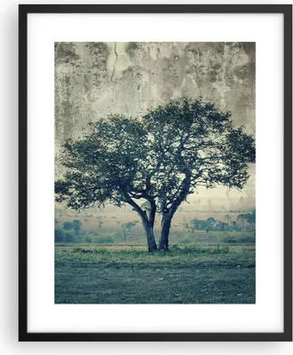Produktbild von Gerahmtes Poster - Schwarzer Rahmen - Baum Natur Feld - 40x50 cm - Wand Bild - Wanddeko - Wandbilder - Kunstposter - Wandposter - Bilderrahmen - Bilder - Kunstdruck - Wandbild - P2BPA40x50-3627