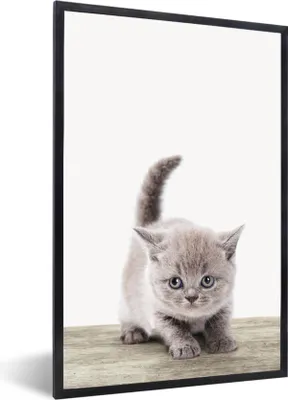 Produktbild von MuchoWow® Gerahmtes Poster Kätzchen - Katze - Haustiere - Jungen - Kinder - Mädchen 60x90 cm - Poster mit Schwarzem Bilderrahmen Wandposter Rahmen Foto Bilder - Kunst