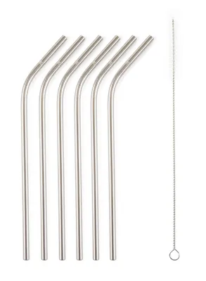 Image de Pailles en métal G21 BeEco Party 6 pièces argentées, courbées + brosse de nettoyage