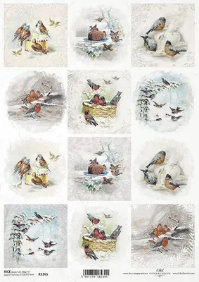 Produktbild von ITD Reispapier Decoupage Bastelpapier Serviettentechnik-R2265 Vögel