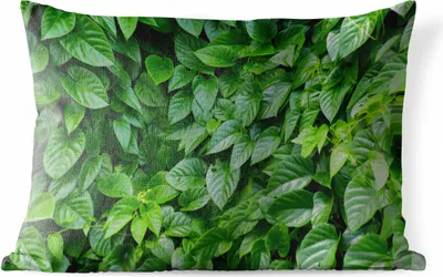 Produktbild von MuchoWow® Outdoor Kissen - Grüne Blätter - 60x40 cm - Wetterfest - Lounge Kissen - Zierkissen - Kissen für Innenräume